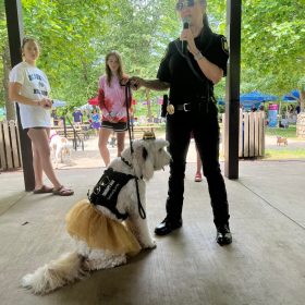 APD therapy dog Kora helping at Bark in the Park. Photo submitted.